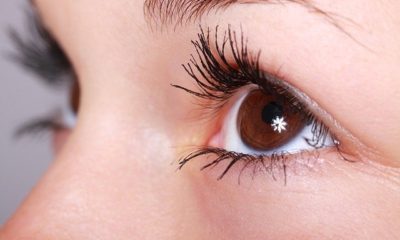 Eyelash Extensions at Home. How to Set up a Business and Choose Material 5
