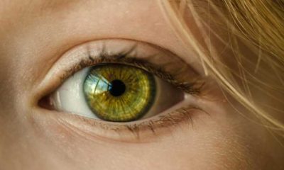 Things You Should Know before Settling for Any Vision Centers 4
